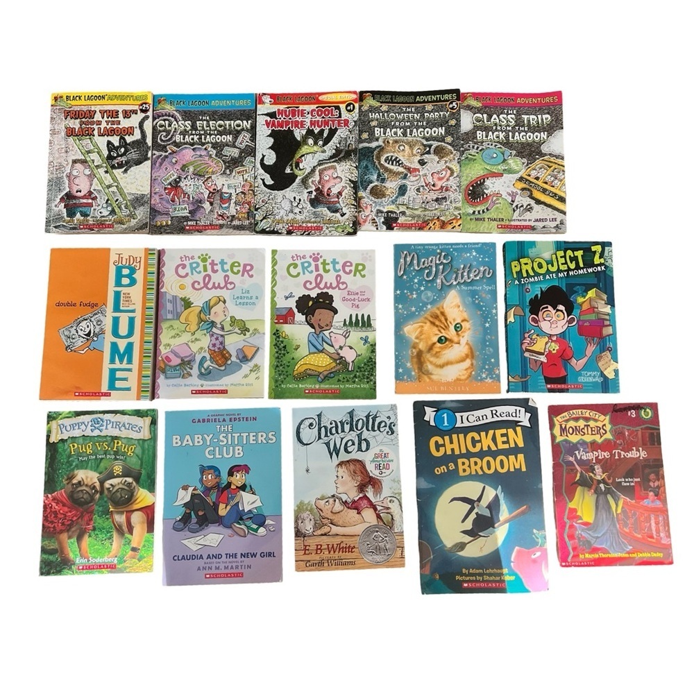 Assortment of Elementary School Chapter Books